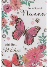 For A Special Nanna